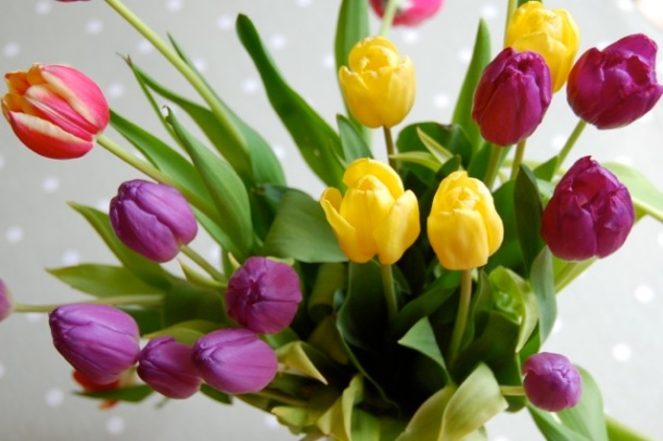flower arranging tulips